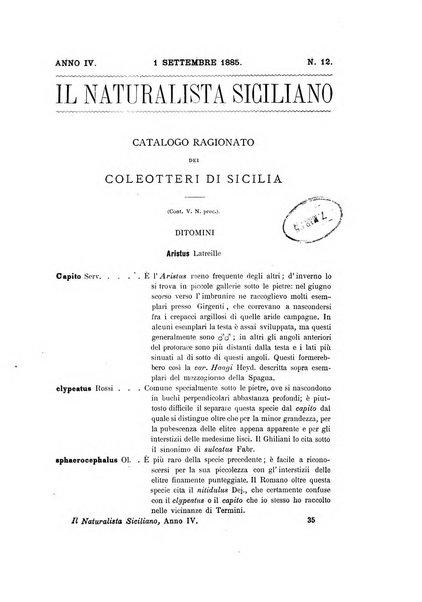 Il naturalista siciliano giornale di scienze naturali