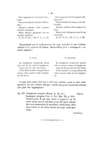 Il naturalista siciliano giornale di scienze naturali