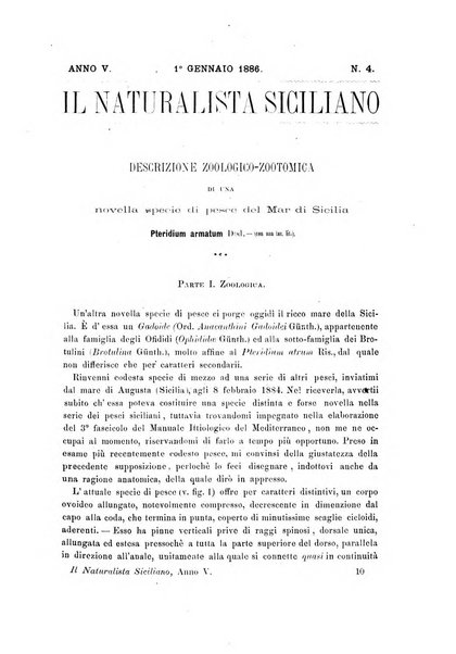 Il naturalista siciliano giornale di scienze naturali