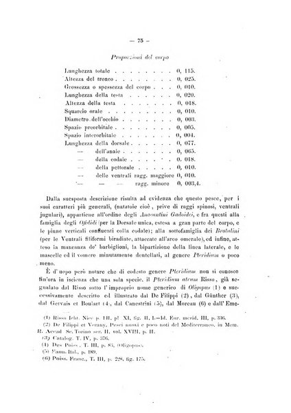 Il naturalista siciliano giornale di scienze naturali