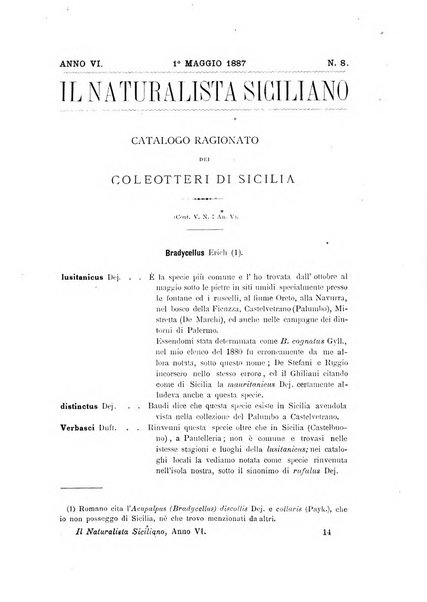 Il naturalista siciliano giornale di scienze naturali