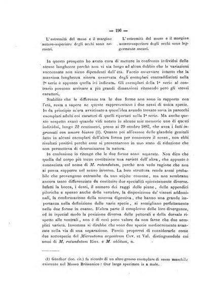 Il naturalista siciliano giornale di scienze naturali