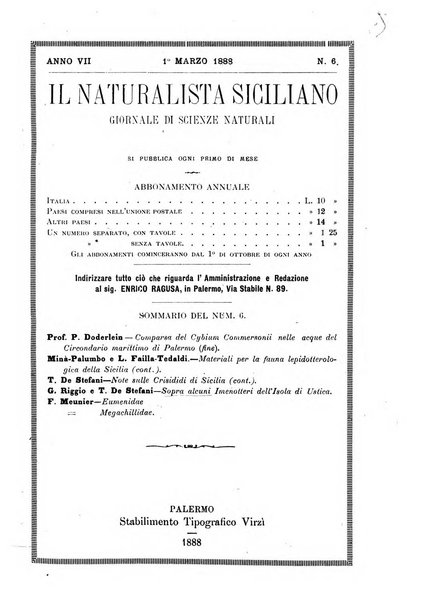 Il naturalista siciliano giornale di scienze naturali