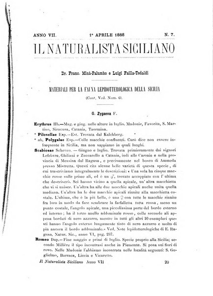 Il naturalista siciliano giornale di scienze naturali