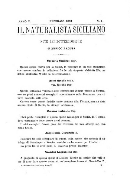 Il naturalista siciliano giornale di scienze naturali