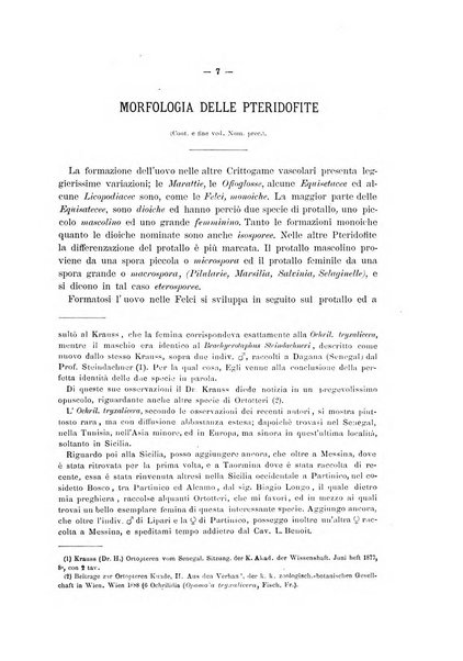 Il naturalista siciliano giornale di scienze naturali