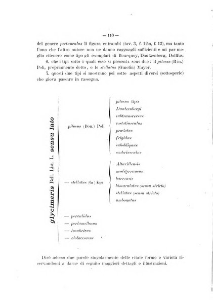 Il naturalista siciliano giornale di scienze naturali