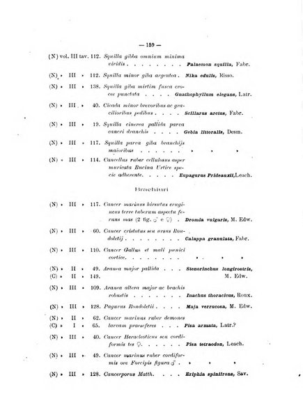 Il naturalista siciliano giornale di scienze naturali