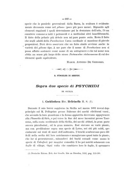 Il naturalista siciliano giornale di scienze naturali