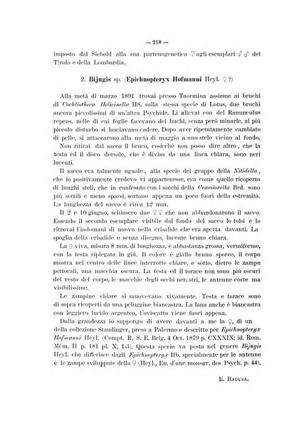 Il naturalista siciliano giornale di scienze naturali