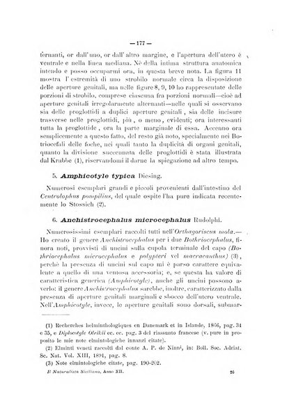 Il naturalista siciliano giornale di scienze naturali