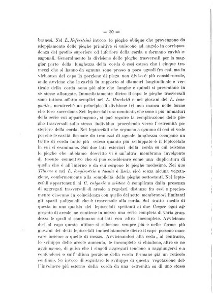 Il naturalista siciliano giornale di scienze naturali