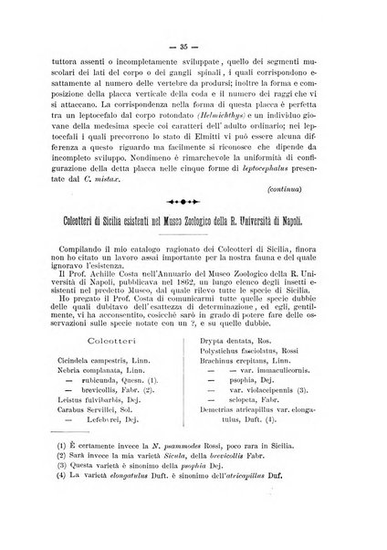 Il naturalista siciliano giornale di scienze naturali