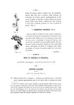 giornale/TO00189537/1893-1894/unico/00000299