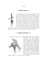 giornale/TO00189537/1894-1895/unico/00000032