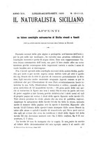 giornale/TO00189537/1894-1895/unico/00000225