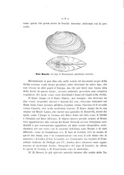 Il naturalista siciliano giornale di scienze naturali