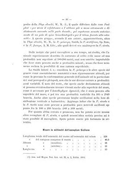 Il naturalista siciliano giornale di scienze naturali