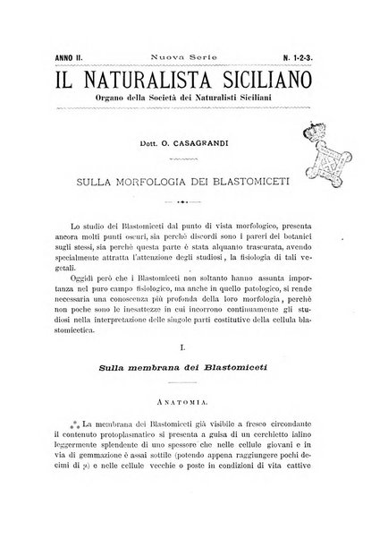 Il naturalista siciliano giornale di scienze naturali