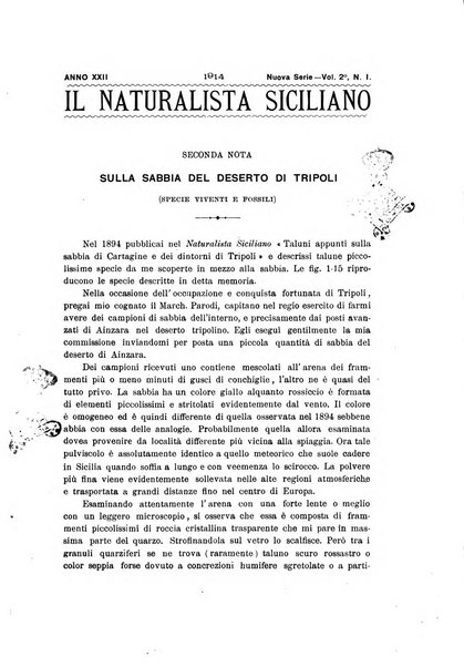 Il naturalista siciliano giornale di scienze naturali