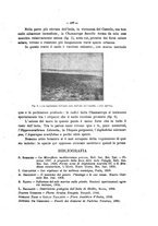 giornale/TO00189537/1916-1919/unico/00000205