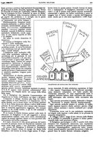 giornale/TO00189567/1938/unico/00000513