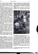 giornale/TO00189567/1940/unico/00000037