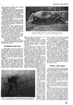 giornale/TO00189567/1942/unico/00000545