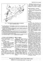 giornale/TO00189567/1943/unico/00000333