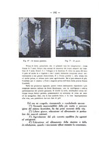 giornale/TO00189675/1933/unico/00000210