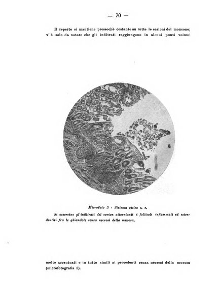 La nipiologia rivista internazionale trimestrale di tutti gli studi scientifici sulla prima età