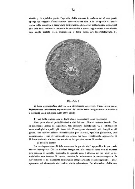 La nipiologia rivista internazionale trimestrale di tutti gli studi scientifici sulla prima età