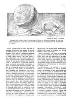 giornale/TO00189683/1913/unico/00000094