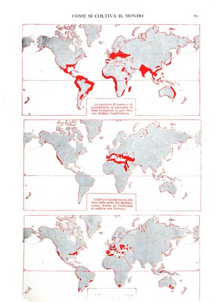 Noi e il mondo rivista mensile de La tribuna