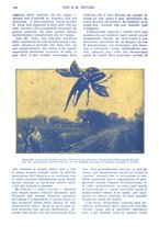 giornale/TO00189683/1914/V.1/00000214