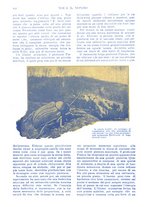 giornale/TO00189683/1914/V.1/00000216