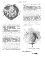 giornale/TO00189683/1914/V.2/00000444