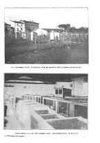 giornale/TO00189683/1915/V.2/00000437