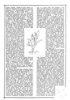 giornale/TO00189683/1916/V.1/00000059