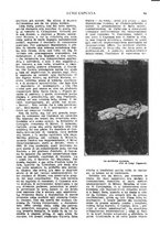 giornale/TO00189683/1916/V.1/00000081