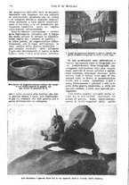 giornale/TO00189683/1918/unico/00000210