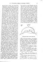 giornale/TO00189683/1922/unico/00000051