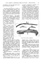 giornale/TO00189683/1923/unico/00000109