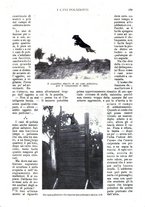 giornale/TO00189683/1923/unico/00000869