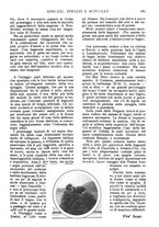 giornale/TO00189683/1924/unico/00000503