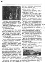 giornale/TO00189795/1928/unico/00000101