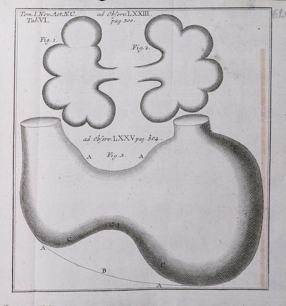 Nova acta physico-medica Academiae caesareae lepoldino-carolinae naturae curiosorum exhibentia ephemerides sive observationes historias et experimenta a celeberrimis Germaniae et exterarum regionum viris habita et communicata..