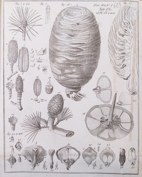 Nova acta physico-medica Academiae caesareae lepoldino-carolinae naturae curiosorum exhibentia ephemerides sive observationes historias et experimenta a celeberrimis Germaniae et exterarum regionum viris habita et communicata..