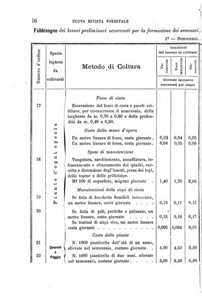 Nuova rivista forestale