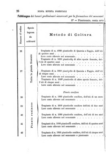 Nuova rivista forestale